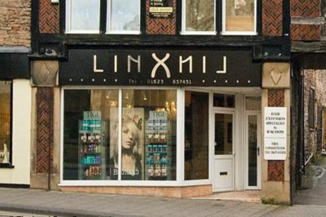 Lynx, Mansfield, Nottinghamshire