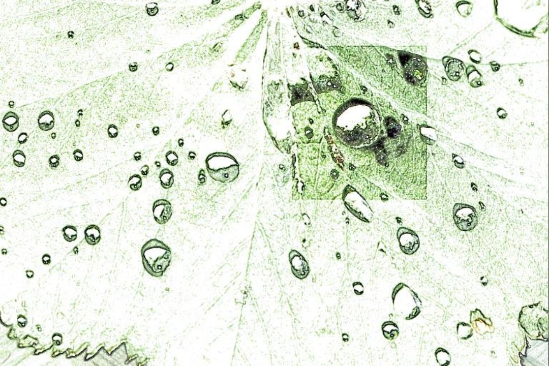 Harmonious Massage / mobile, South Kensington, London