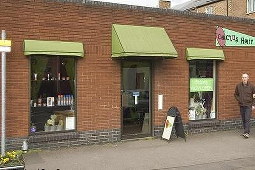 Cactus Hair, Taunton, Somerset