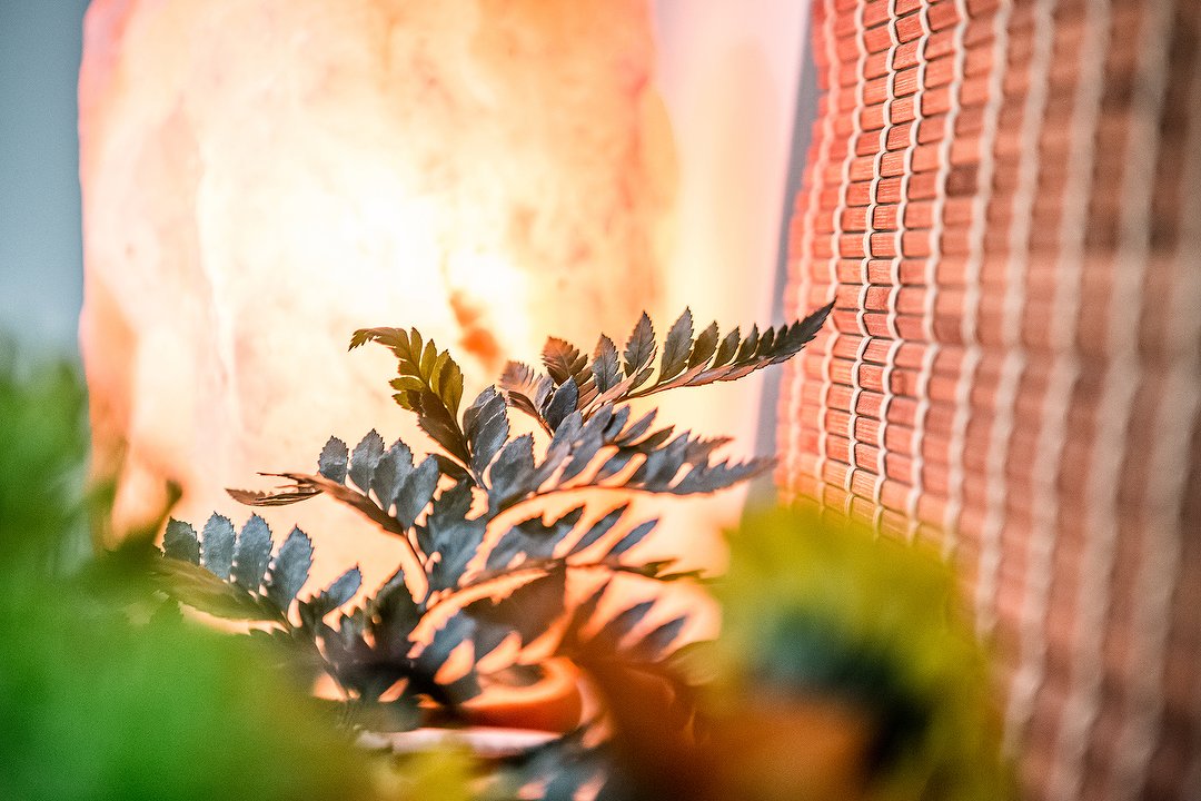 Wellbeing Centres Crouch Hill, Finsbury Park, London