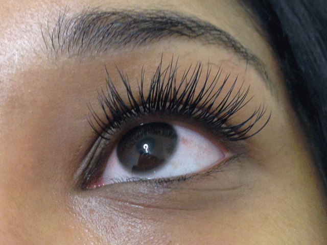 Lashes and Brows, Harley Street, London