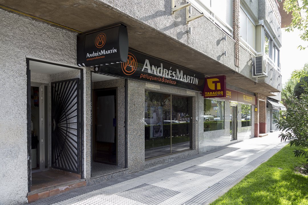 Andrés Martín Peluqueros, Zona Norte, Comunidad de Madrid