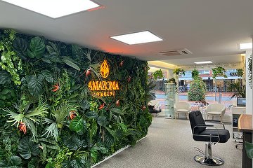 Amazonia Concept