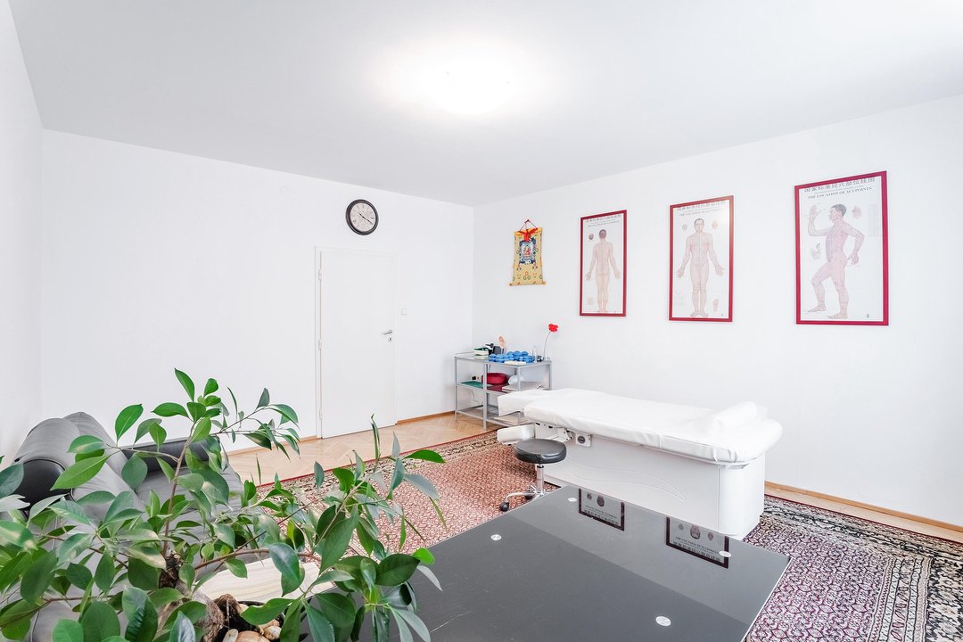 Ärztliche Massage und Akupunktur, 3. Bezirk, Wien