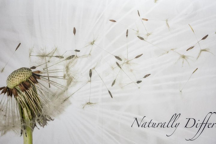 Centro Estetica Kokelikò - Esthétique Trento - Photo de galerie - OneBooking