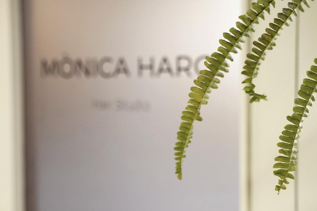 Perruqueria Mònica Haro, Manresa, Provincia de Barcelona