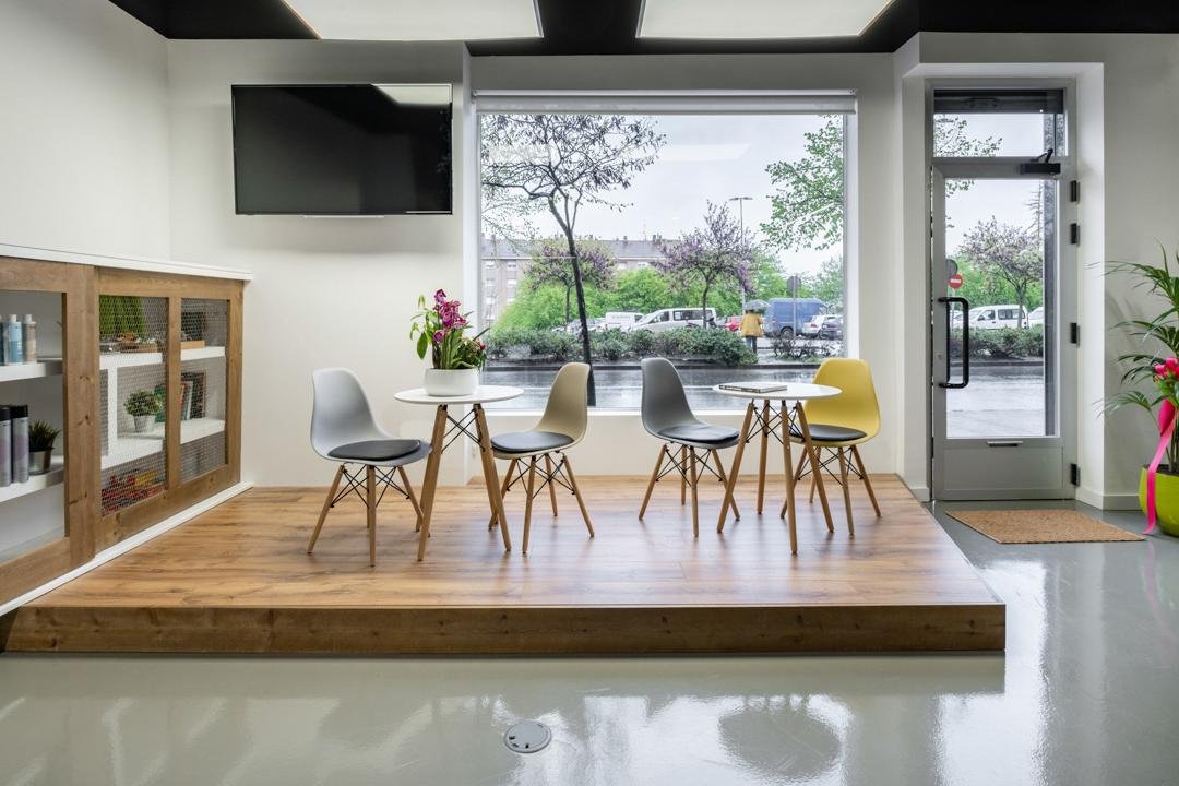 Cohesion Hair Studio, Logroño