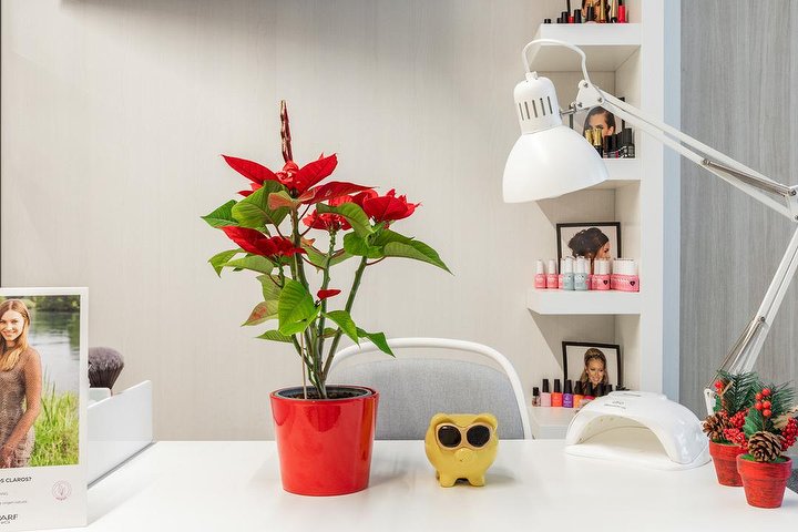 Gómez Estilistas - Coiffure Pamplona - Photo de galerie - OneBooking