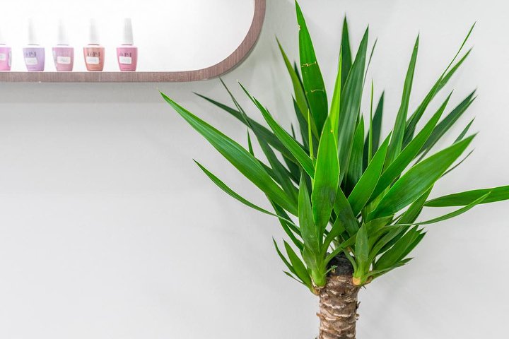 Demi Salon - Onglerie Milano - Photo de galerie - OneBooking