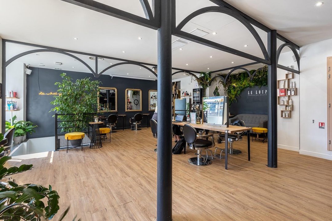 Romahair chez le Loup Co Working, Europe, Paris