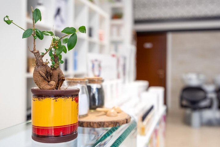 Art Diffusion - Coiffure Torino - Photo de galerie - OneBooking