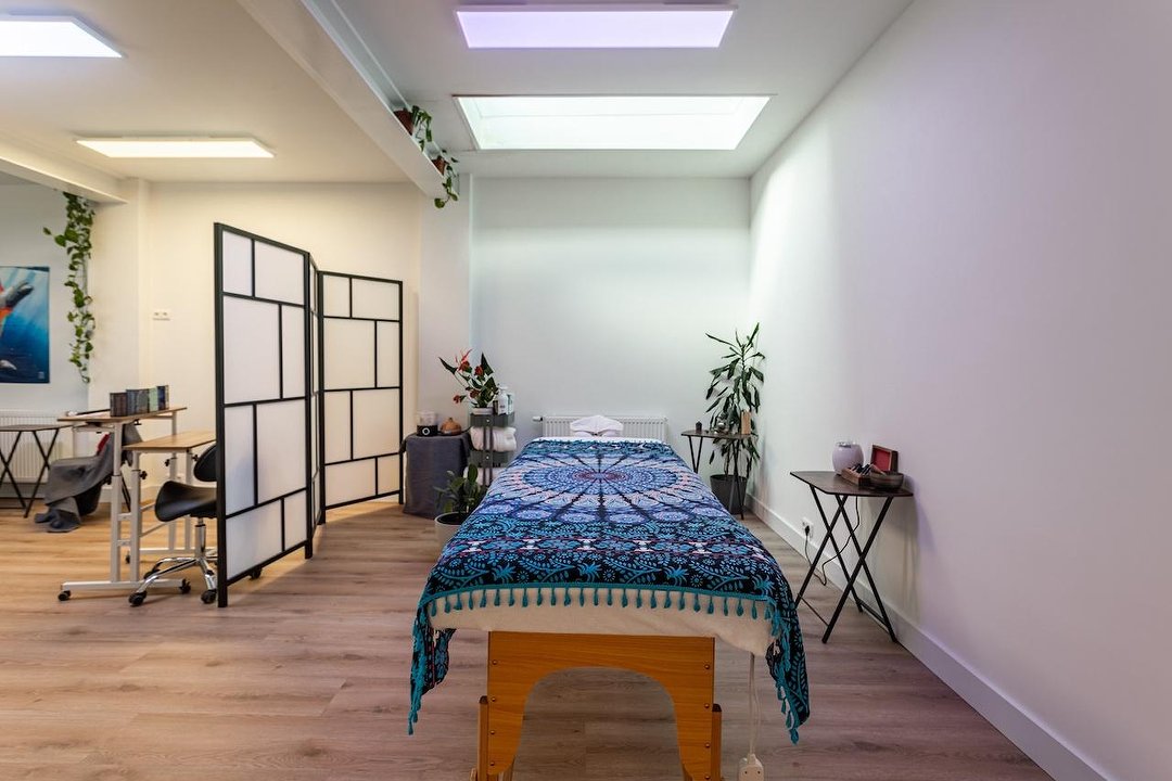 The Oasis / Collaborative Motion, Nachtegaalbuurt, Haarlem