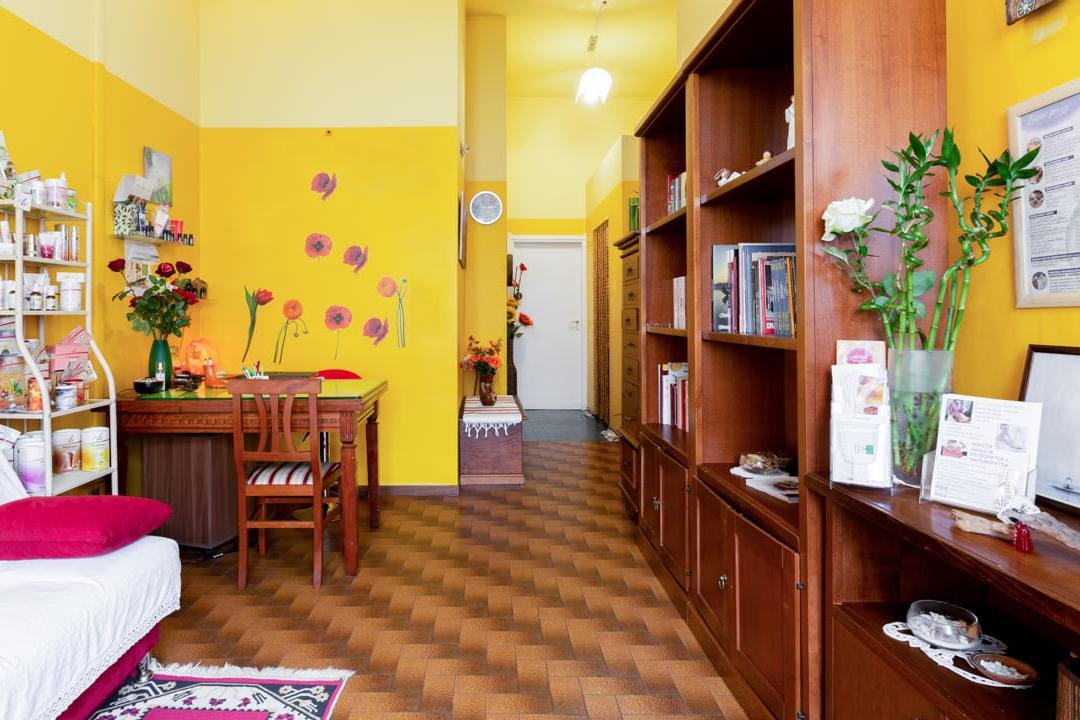 Centro Olistico Alina, Vimercate