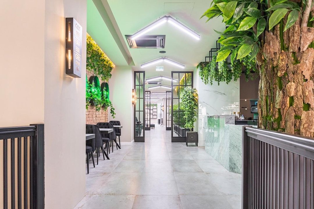 Wipp Concept, 1. Bezirk, Wien