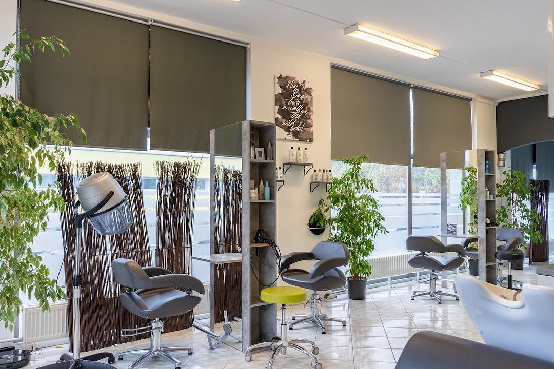 Art of Hair, Mödling, Wien und Umland