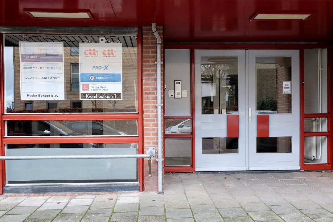 Acupunctuur Sasja Opdam, Architectenbuurt, Haarlem