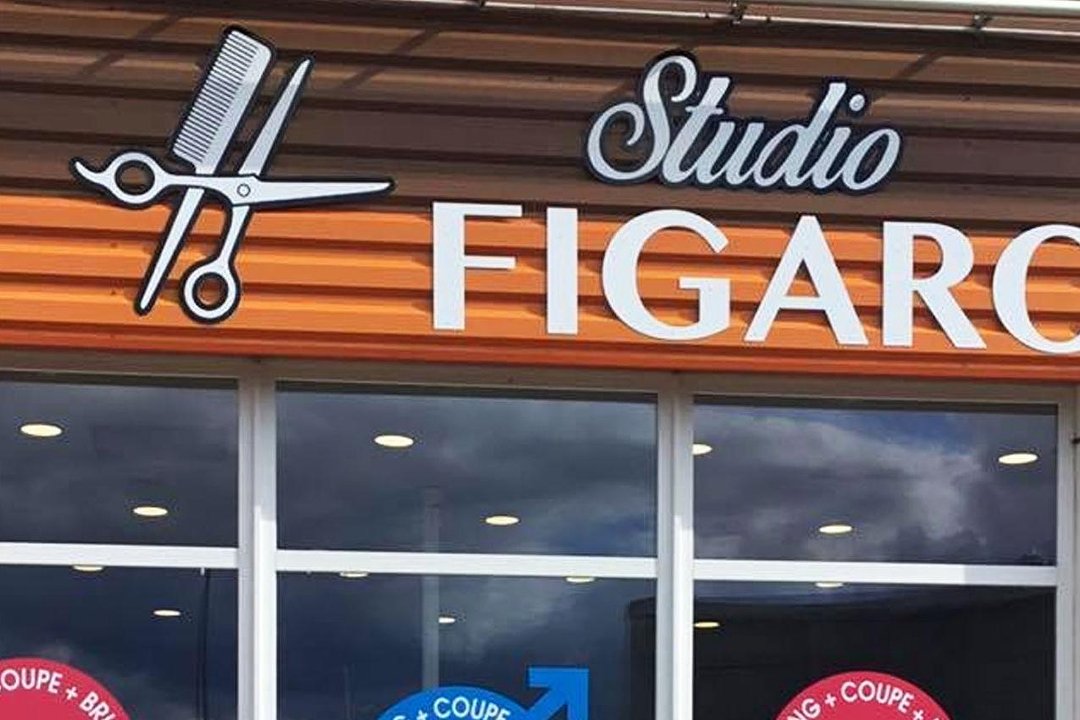 STUDIO FIGARO, Vosges