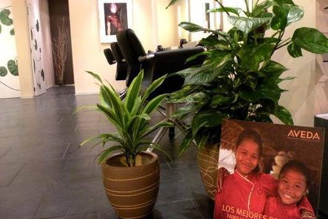 Heisei Peluquería AVEDA, Arrancapins, Valencia