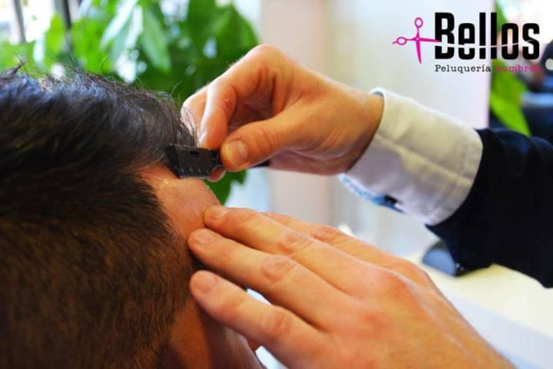 Mas Bellos Avd. Cataluña, El Rabal, Zaragoza