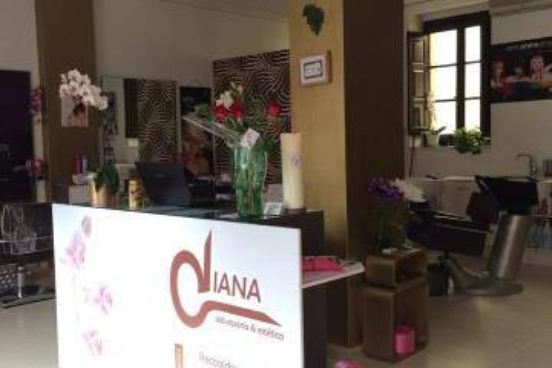 Diana Peluquería y Estética, Castilla y León