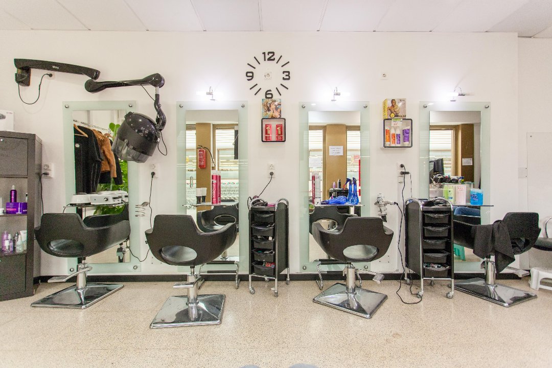 Arte Español Coslada, Distrito I, Comunidad de Madrid