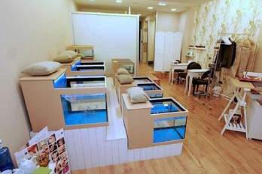Therapy Fish-Spa, Oviedo