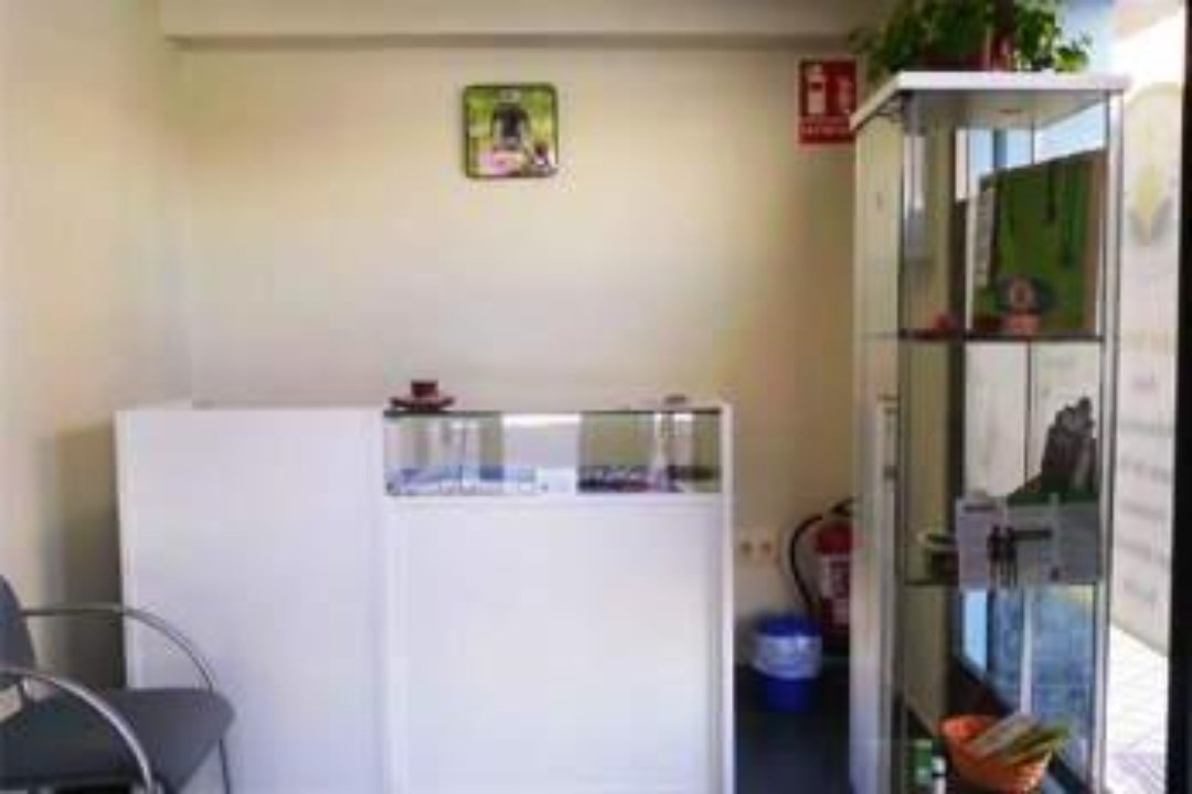 Elisa Gonzalez Quiromasaje-Osteopatia, Zaidín-Vergeles, Granada