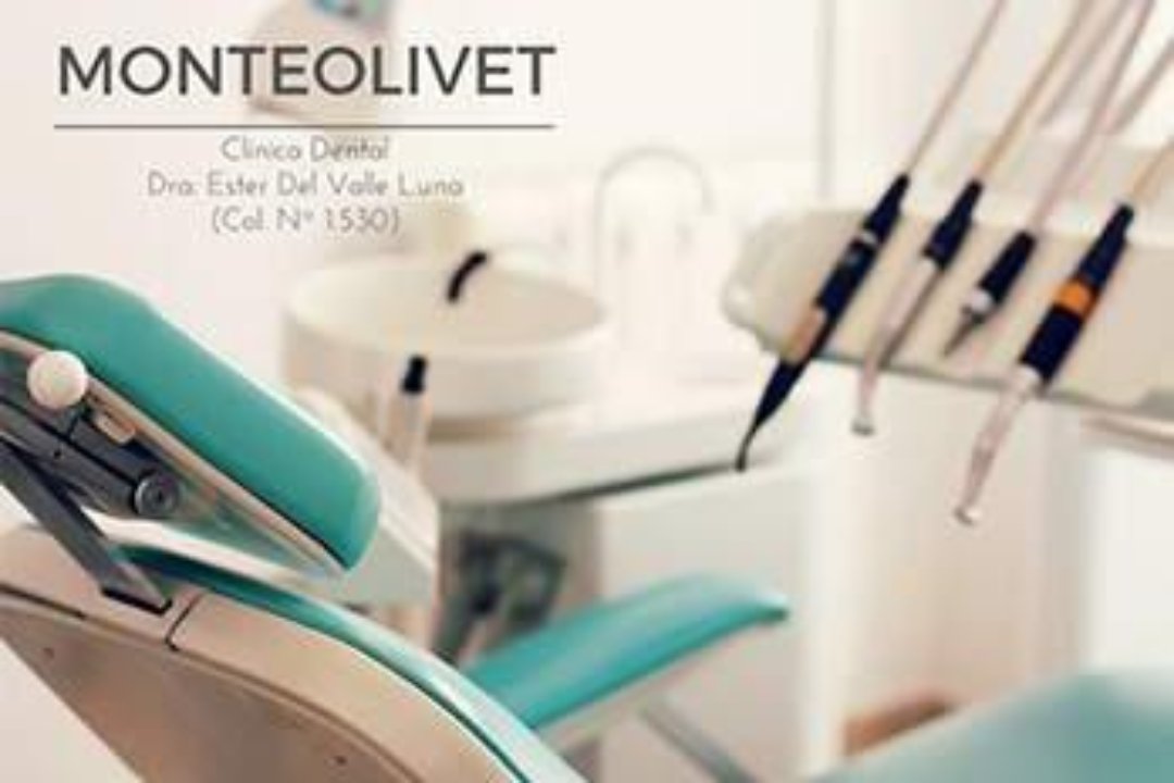 Monteolivet, Montolivet, Valencia