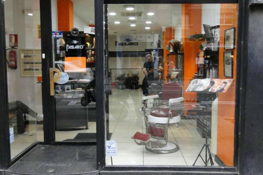 Passaro Presstige, Delicias, Zaragoza