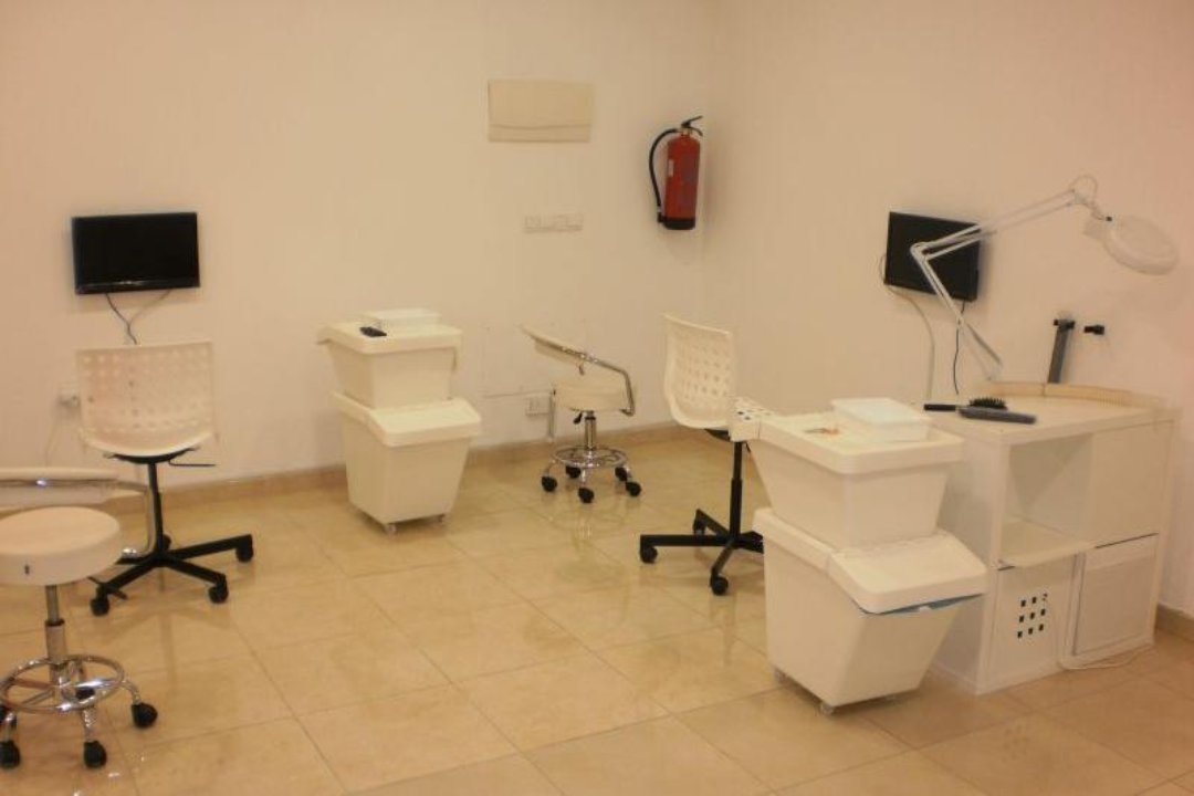 Sin Más Piojitos Ciudad Lineal, Pueblo Nuevo, Madrid