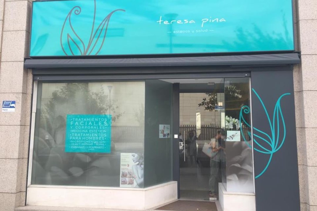 Teresa Pina, Distrito Municipal, Comunidad de Madrid