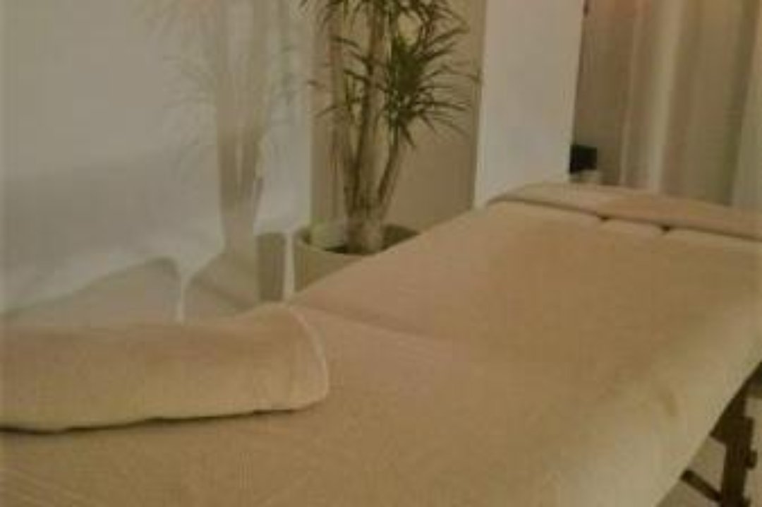 Octavi Vergés, El Putxet i el Farró, Barcelona