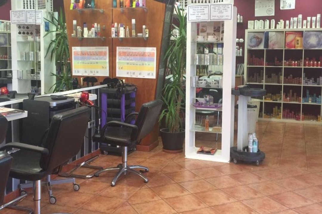 Salón Ibaigane, País Vasco