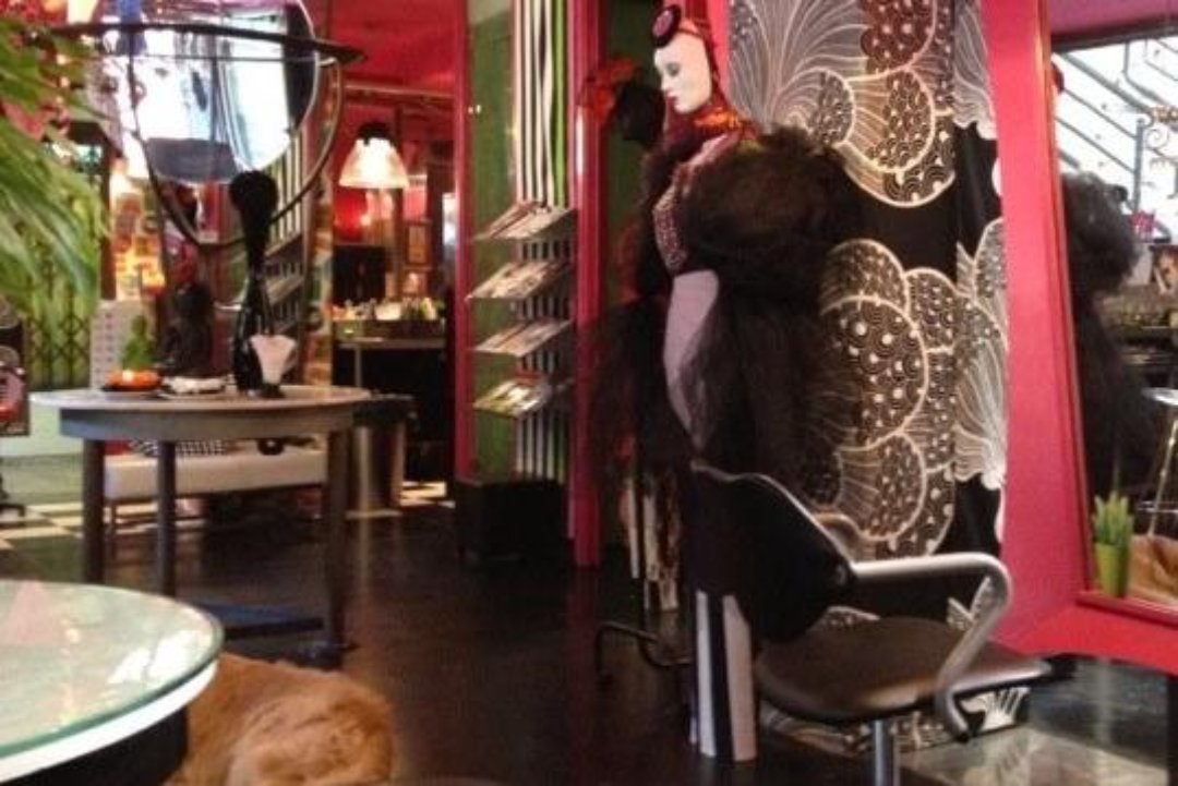 Josep Peluqueros, Zona Centro, Santa Cruz de Tenerife