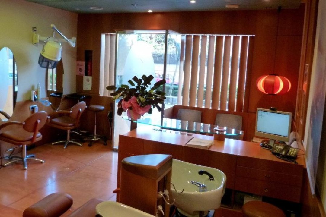 Lurdes Castañé Perruqueria, Sector Can Rull, Provincia de Barcelona