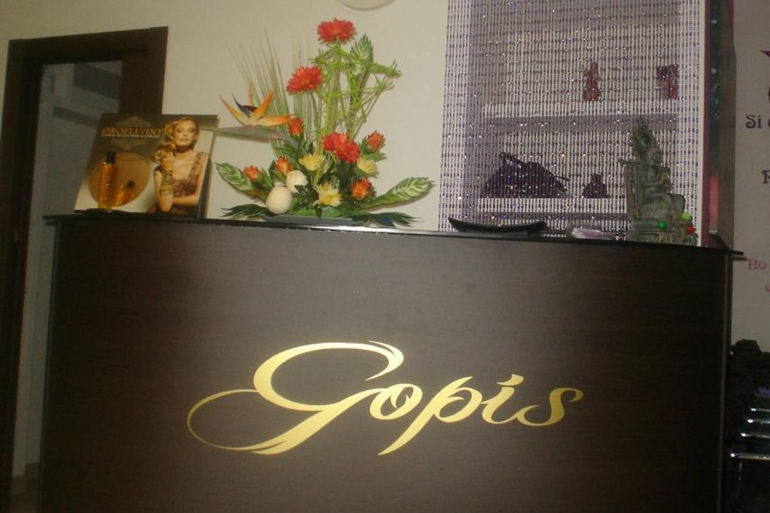 Gopis Estilistas, Comunidad de Valencia