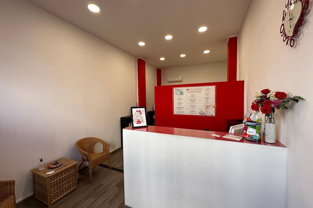 Exelongle, Circoscrizione 9, Torino