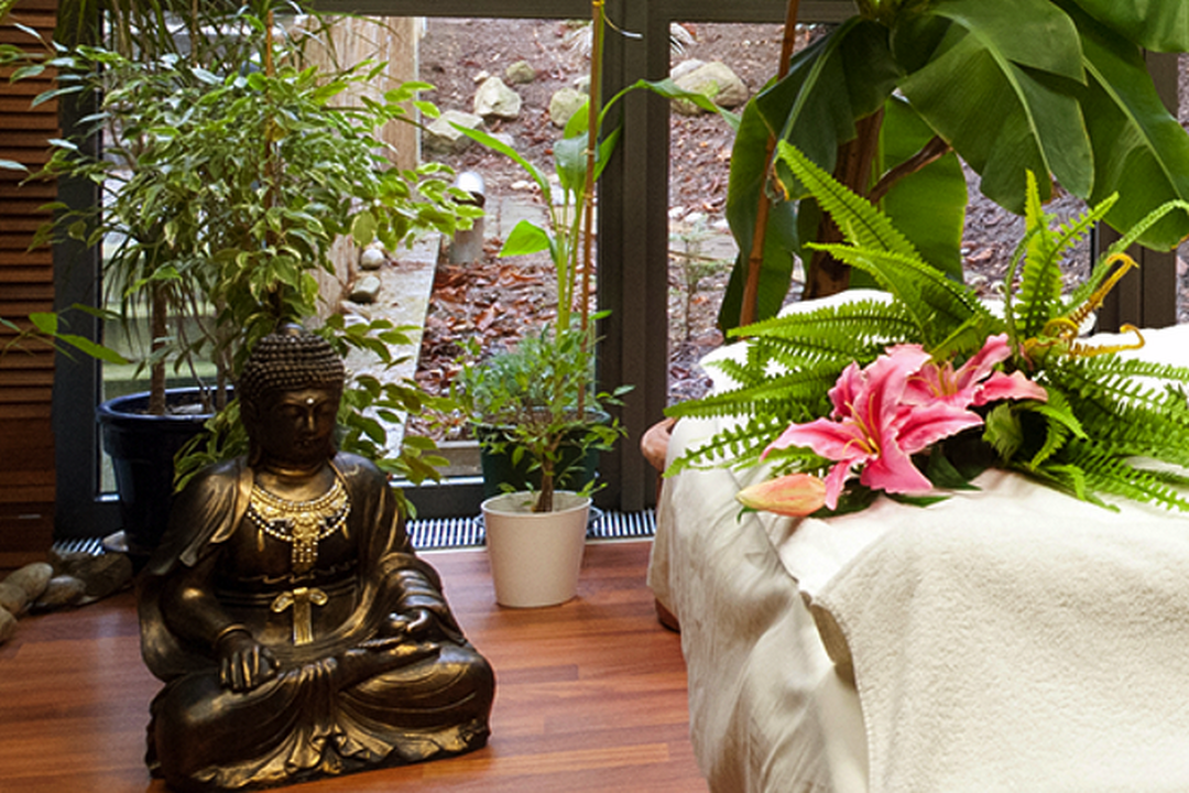 SimLife Institut, Bad Soden