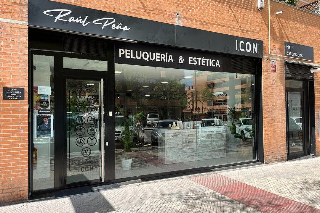 Salón Raúl Peña, Espino del Cuquillo, Comunidad de Madrid