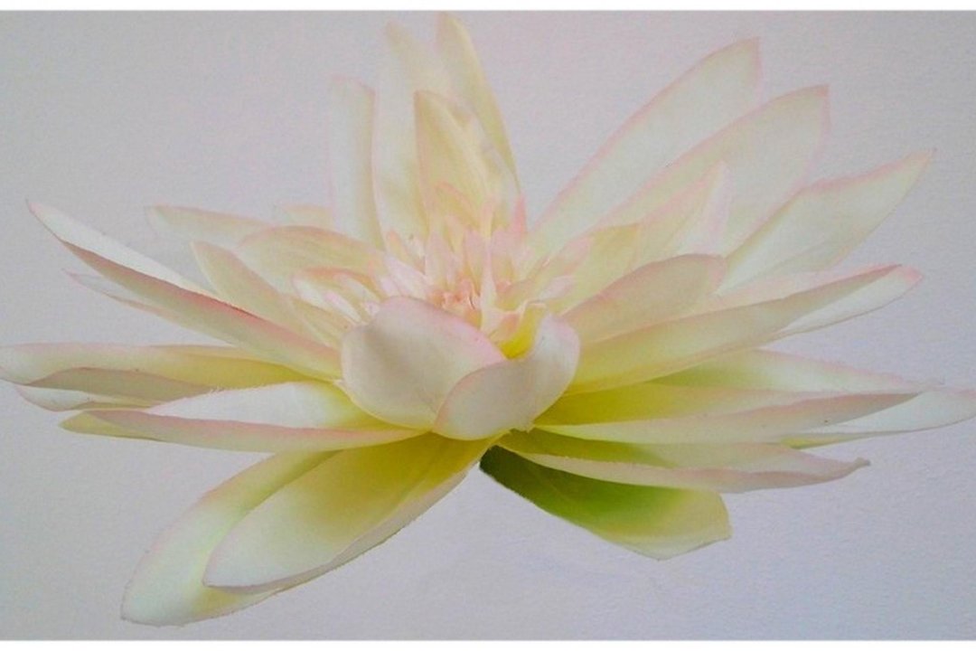 Naturkosmetik und Shiatsu Nürnberg, Innenstadtgürtel Süd, Nürnberg