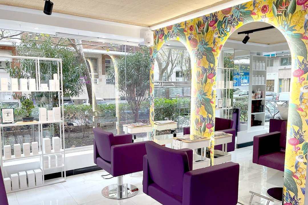 Violeta Experience, Hispanoamerica, Madrid