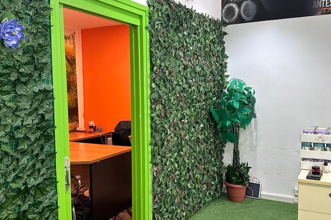 Alisados Veganos, Igualada, Provincia de Barcelona