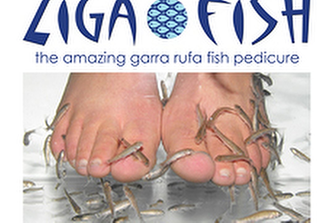 Zigafish, Central Hove, Brighton and Hove