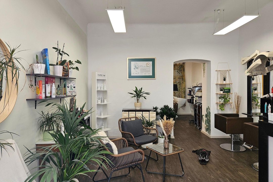 Exquisites Hair and Beauty Styles, 18. Bezirk, Wien