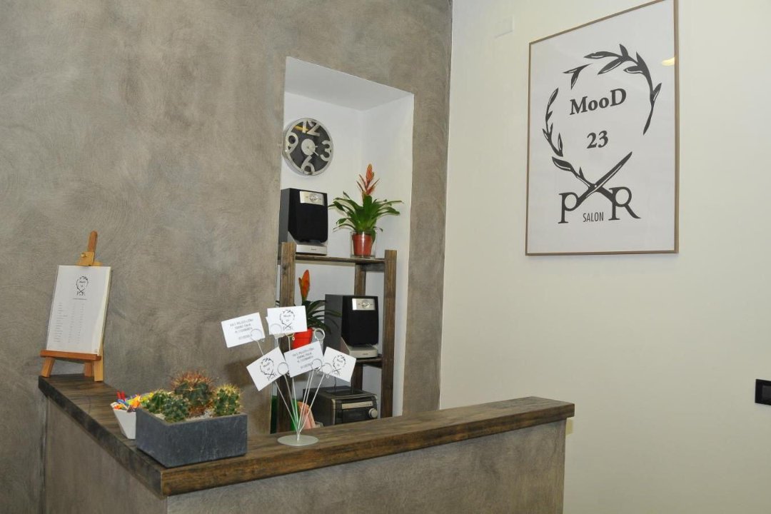 Mood 23, San Salvario, Torino