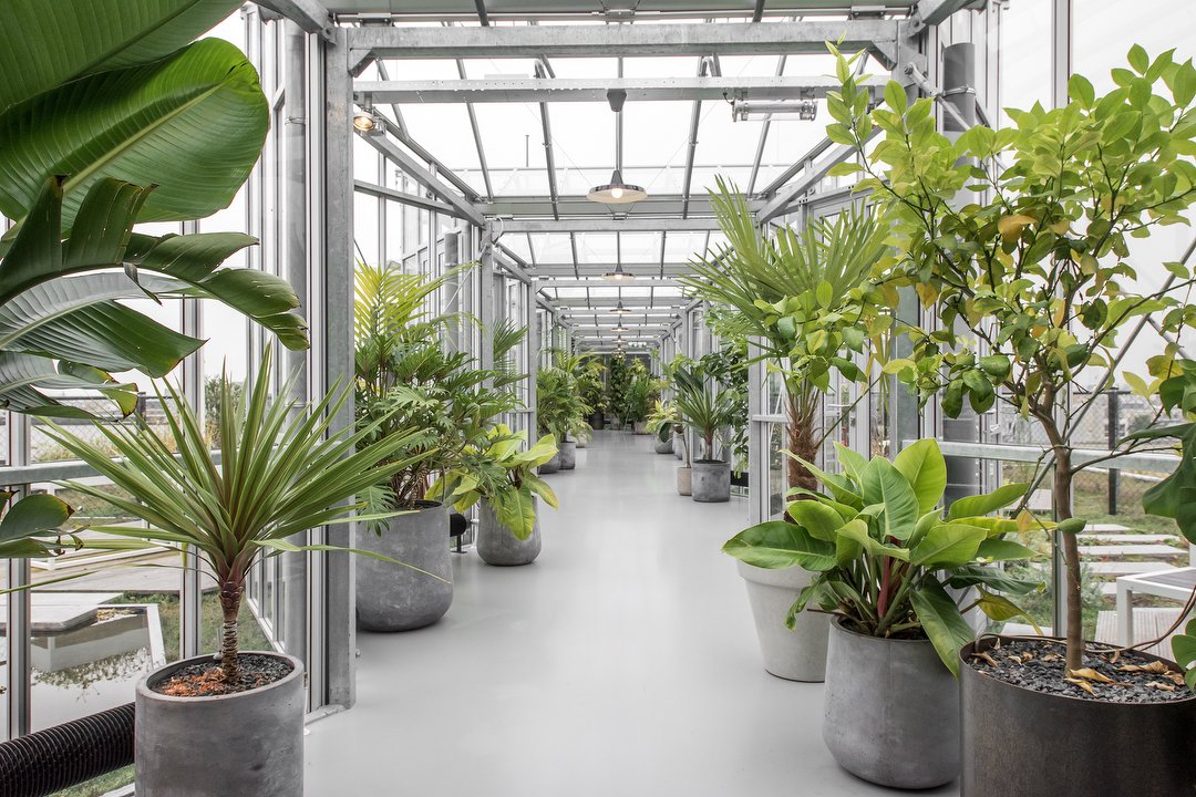 Zoku Treatment Massage- en hypnotherapie, Weesperbuurt en Plantage, Amsterdam