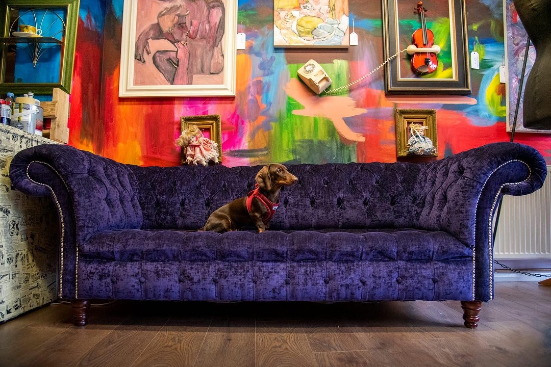 Soho Unisex Salon & art gallery, Hastings, East Sussex