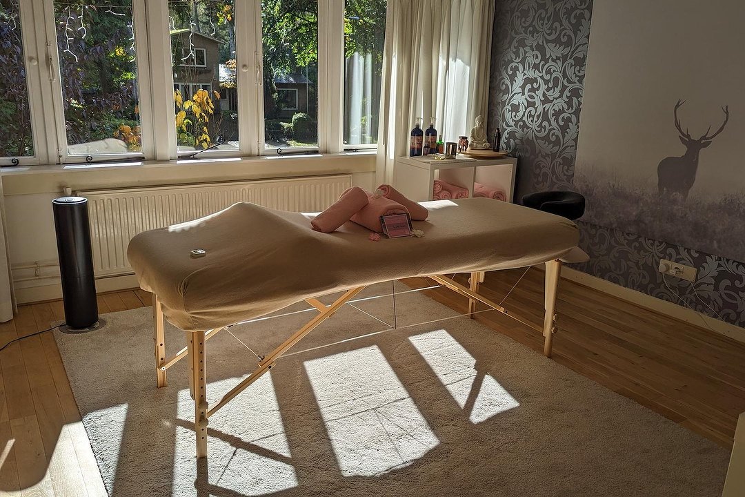 Massagepraktijk de Vossebes, Apeldoorn