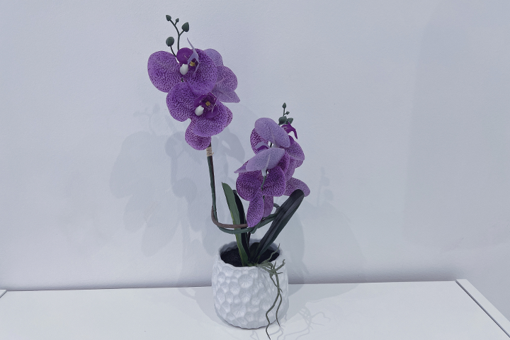 Indigo Nail & Beauty - Onglerie London - Photo de galerie - OneBooking