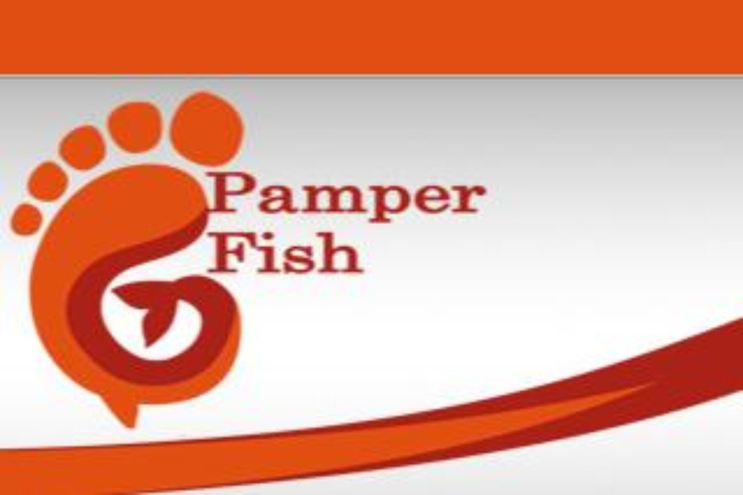 Pamper Fish, Central Hove, Brighton and Hove